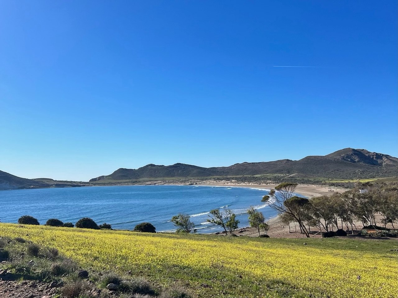 Los Genoveses en Almería